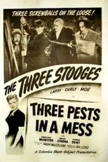 Póster de Three Pests in a Mess