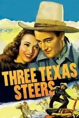 Póster de Three Texas Steers