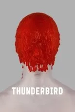Póster de Thunderbird