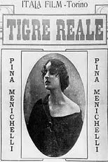Póster de Tigre real