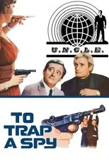 Póster de To Trap a Spy