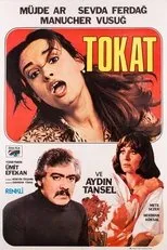 Póster de Tokat