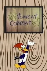 Póster de Tomcat Combat