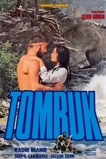 Póster de Tomruk