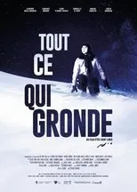 Póster de Tout ce qui gronde