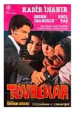 Póster de Tövbekar