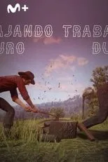 Póster de Trabajando duro