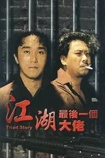 Póster de Triad Story