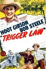 Póster de Trigger Law