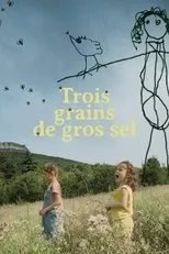 Póster de Trois grains de gros sel