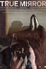 Póster de True Mirror