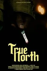 Póster de True North