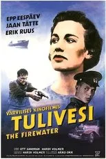 Póster de Tulivesi