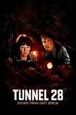 Póster de Túnel 28