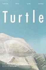 Póster de Turtle