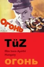 Póster de Tüz