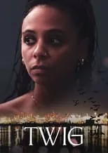 Póster de Twig