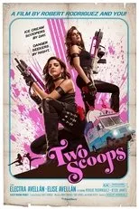 Póster de Two Scoops