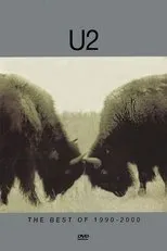 Póster de U2: The Best of 1990-2000