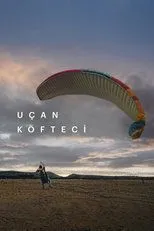 Póster de Uçan Köfteci