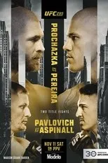 Póster de UFC 295: Prochazka vs. Pereira
