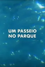 Póster de Um Passeio no Parque