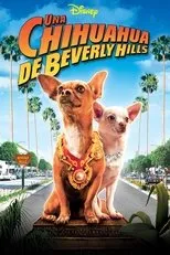 Póster de Un chihuahua en Beverly Hills