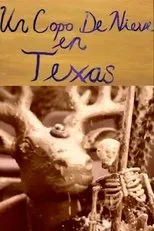 Póster de Un Copo de Nieve en Texas