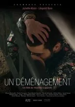 Póster de Un déménagement