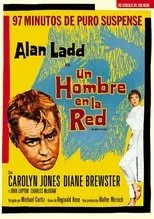 Póster de Un hombre en la red