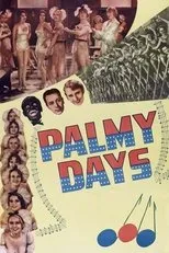 Póster de Un loco de verano