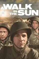 Póster de Un paseo bajo el sol