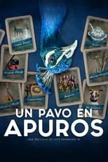 Póster de Un pavo en apuros