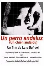 Póster de Un perro andaluz