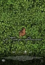 Póster de Un tiempo precioso