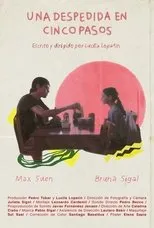 Póster de Una despedida en cinco pasos