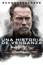 Póster de Una historia de venganza