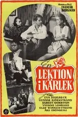 Póster de Una lección de amor