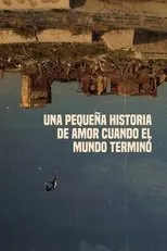 Póster de Una pequeña historia de amor cuando el mundo terminó