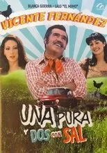 Póster de Una pura y dos con sal