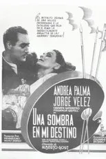 Póster de Una sombra en mi destino