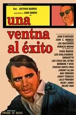 Póster de Una ventana al éxito