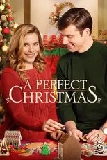 Póster de Unas Navidades casi perfectas