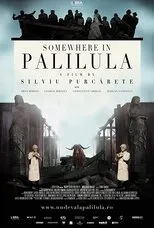 Póster de Undeva la Palilula