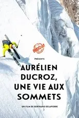 Póster de Une Vie aux Sommets