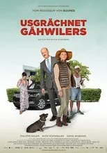 Póster de Usgrächnet Gähwilers