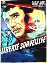 Póster de V proudech
