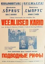 Póster de Veealused karid