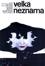 Póster de Velká neznámá