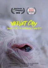 Póster de VELVET CRY